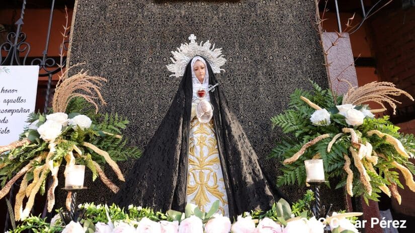 alfombra